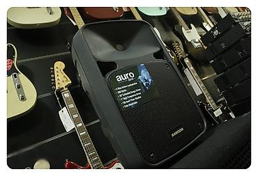 ses ucaldıcı: Kalonka Samson auro d210 aktiv speaker Amerikanin Samson firmasina — 2