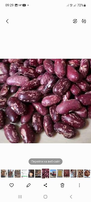 Сухофрукты, орехи, снеки: Ассалом алейкум Баткендин таза оругу сатылат, оптом баада, сапаттуу — 14