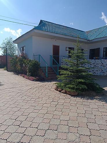 Гостевые дома на Иссык-Куле: - садовая зона с плодовыми деревьями (абрикосы), скамьи и топчаны для — 2