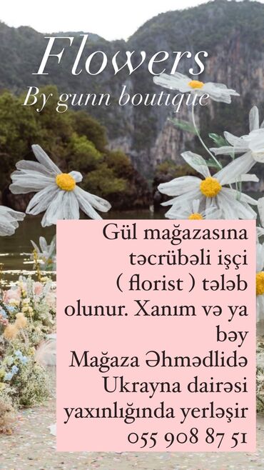 satış məsləhətçiləri: Satış məsləhətçisi tələb olunur, 18-29 yaş, 1-2 illik təcrübə, Aylıq ödəniş