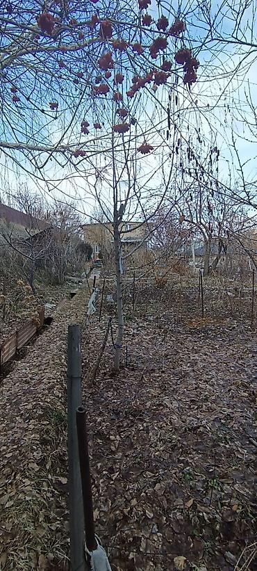 Продажа дач: 🔷 Продаётся дача в селе Арашан 🔷 Участок — 6 соток 🔷 Двухэтажный дом — 8