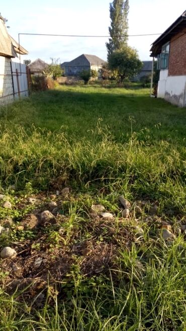 Torpaq sahələrinin satışı: 30 sot, Mülkiyyətçi, Kupça (Çıxarış) — 7