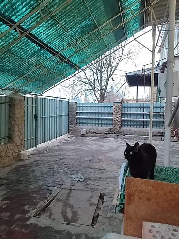 Продажа квартир: 3 комнаты, 63 м², 1 этаж, Косметический ремонт — 2