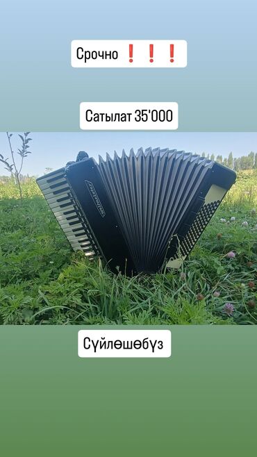 стойка микрофонная: Аккордеоны