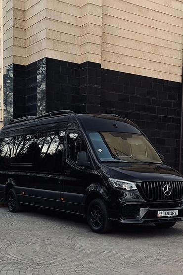 Пассажирский бус на заказ: Mercedes-Benz Sprinter VIP (минивэн/микроавтобус повышенной — 3