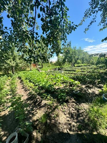 село ленский: 5 соток, Айыл чарба үчүн, Кызыл китеп, Сатып алуу-сатуу келишими