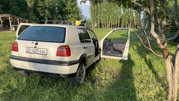 Volkswagen: Volkswagen Golf: 1994 г., 1.8 л, Механика, Бензин, Хэтчбэк