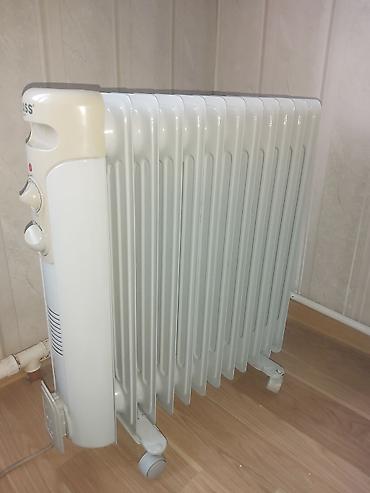 zass radiator: ZASS (Germany) Alman brendi – elektrikli istilik cihazı ofislərin — 2