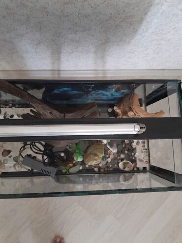 Akvariumlar: Hərşeyi var. qızdırıcı . filter . qraduz . və.s. hündürü 26sm. eni — 9