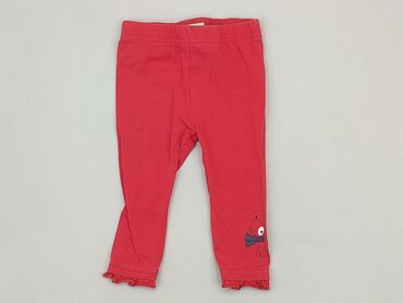 ocieplane legginsy trekkingowe: Leggings, Coccodrillo, 3-6 months, condition - Very good