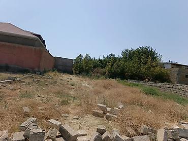 sahe: 5 sot, Mülkiyyətçi, Bələdiyyə — 1