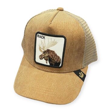 the north face kape: Cap, color - Brown