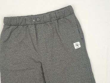 wojcik rajstopy: Shorts, SinSay, 14 years, 164, condition - Very good