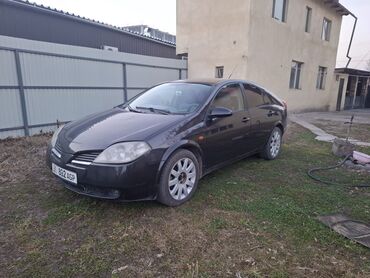 Nissan: Nissan Primera: 2003 г., 1.9 л, Механика, Дизель, Хэтчбэк — 1