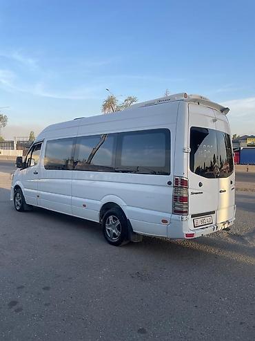 Автобус на заказ: Бостери — 7