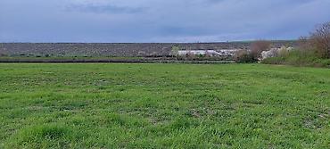 Torpaq sahələrinin satışı: Kənd təsərrüfatı — 10