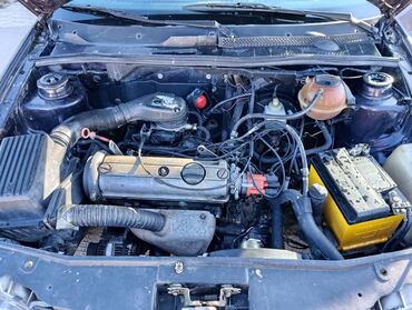 Volkswagen: Volkswagen Golf: 1995 г., 1.6 л, Механика, Бензин, Хэтчбэк — 9