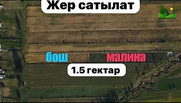 арашаемые земли: 150 соток, Для бизнеса, Договор купли-продажи — 1