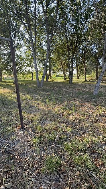 комнаты иссык: Продается дом в селе Туз, от городо 30 мин езды.30 соток. Есть не — 1