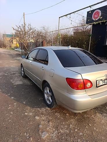 levin corolla: Toyota Corolla: 2003 г., 1.8 л, Автомат, Бензин, Седан — 6