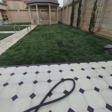 Toxumlar: Qazon satışı təbii və süni Qazonlarımız satışda mövcuddur təbii — 9