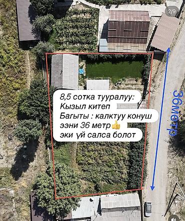 арловка участок: 115 соток, Для бизнеса, Красная книга, Договор купли-продажи — 2