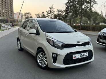 авто в рассрочку без банка без первоначального взноса в бишкеке: Kia Morning: 2019 г., 1 л, Автомат, Бензин, Хетчбек
