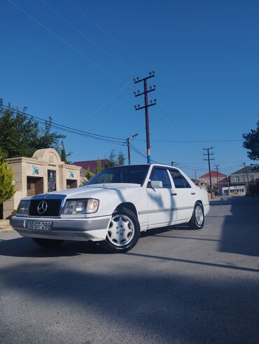 tülkü göz mercedes: Mercedes-Benz W124: 2.3 l | 1988 il Sedan