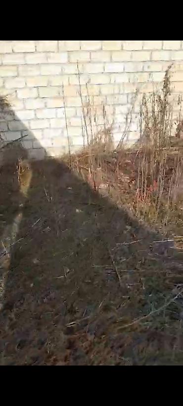 Torpaq sahələrinin satışı: 6 sot, Kupça (Çıxarış) — 11