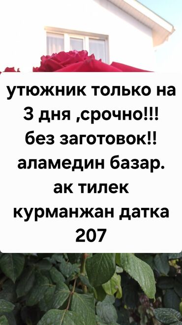 помошник по дому: Үтүкчү