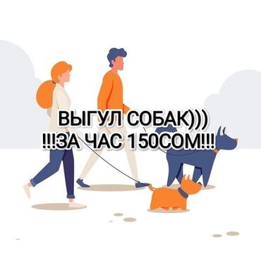 Собаки: ‼️ВЫГУЛ СОБАК‼️ за час 150сом!!! город:Бишкек Ала-Тоо (СОБИРАЮ НА