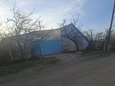 Другие фруктовые и ягодные растения: Продаётся уютный дом на Иссык- Куле в селе Ананьево. 2 спальни — 1