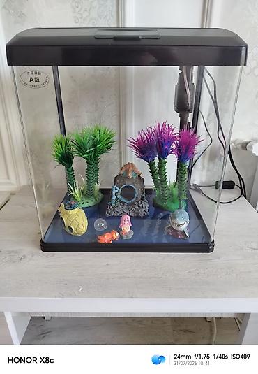 akvarium satilir: Tezedi zavod istehsalıdi bütün aksesuarlariyla birlikdə satilir — 1