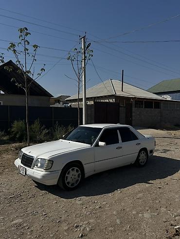 Mercedes-Benz W124: 1993 г., 2.2 л, Механика, Бензин, Седан