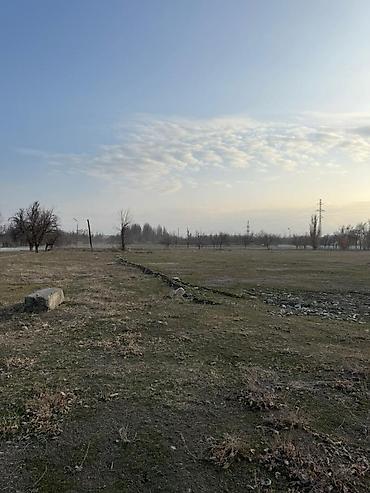 токмак: 280 соток — 3