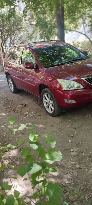 Lexus: Lexus RX: 2008 г., 3.5 л, Автомат, Бензин, Кроссовер — 6