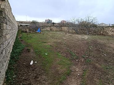 Torpaq sahələrinin satışı: 7 sot, Tikinti, Kupça (Çıxarış) — 1