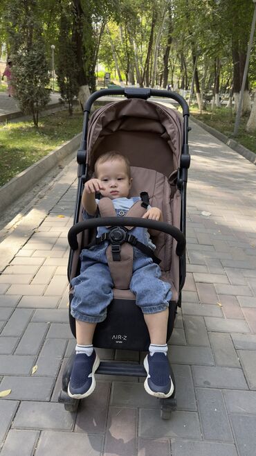 Коляски: Коляска, цвет - Коричневый — 6