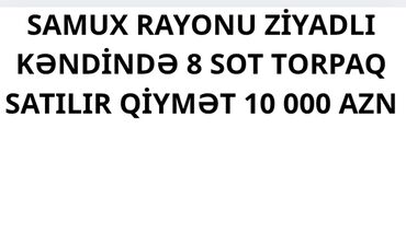 Boçkalar və çəlləklər: Real alıcı ilə razılaşma olacaq
