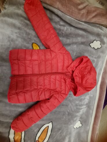 детские вещи на осень: Куртка, Унисекс, 3 - 4 года, The North Face