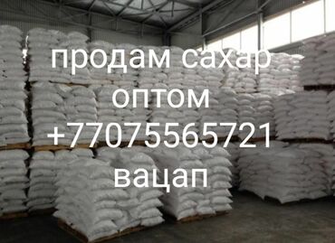 сахар свекольный купить: Продам сахар оптом сахар чистый белый без комков по 50 кг мешки есть