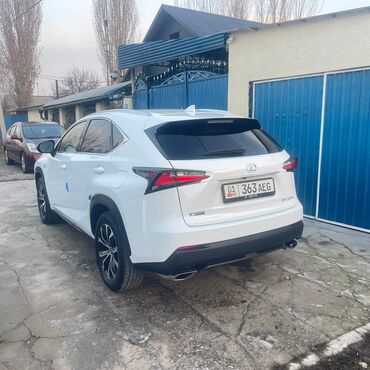 Lexus: Lexus NX: 2017 г., Кроссовер — 26