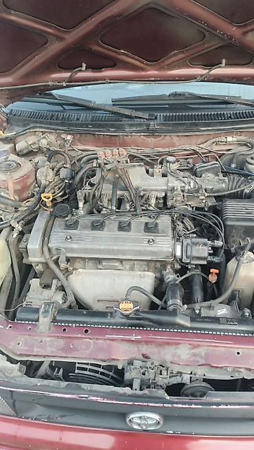 coroll: Toyota Corolla: 1997 г., 1.6 л, Автомат, Газ-бензин (ГБО), Седан — 7