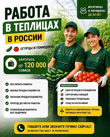 Другие специальности: РАБОТА В ТЕПЛИЦАХ РОССИИ 💰 Зарплата от 120 000 сомов Требуются — 1