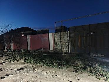 Kubiklər: Kubiklər, Kredit yoxdur — 5