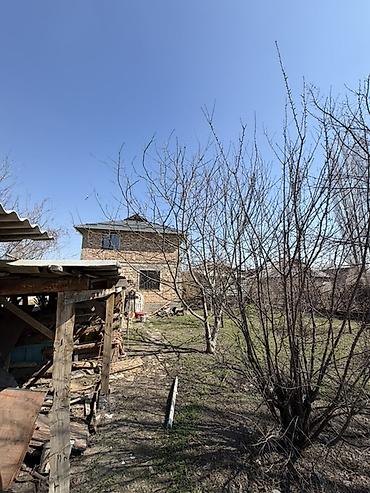 Продажа коттеджей и домов: Продается жилой дом с большим участком и хозяйственными постройками — 2