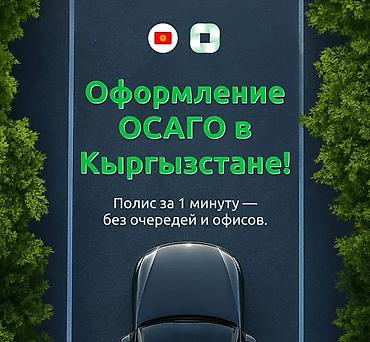 страхование: ОСАГО и автострахование для поездок в Узбекистан, Кыргызстан и на — 2