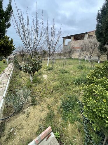 Bağ evlərinin satışı: Bakı, Novxanı, 114 kv. m, 4 otaqlı, Hovuzsuz, Qaz, İşıq, Su — 7