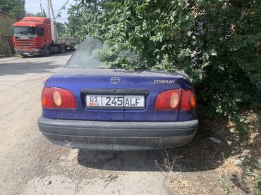 тайота карола 1996: Toyota Corolla: 1998 г., 1.6 л, Механика, Бензин, Седан