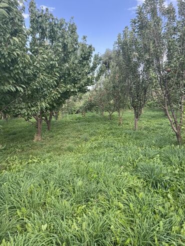 Продажа домов: Дом, 500 м², 6 комнат, Собственник, ПСО (под самоотделку) — 21